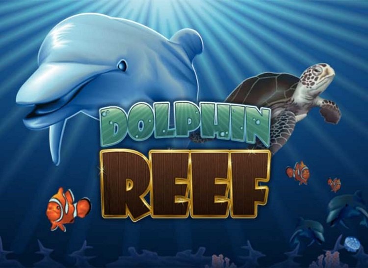 ドルフィンリーフ(DOLPHIN REEF)